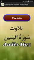 Great Surah Yaseen Audio Mp3 capture d'écran 1