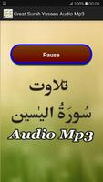 Great Surah Yaseen Audio Mp3 capture d'écran 2