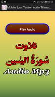 Mobile Surat Yaseen Audio Mp3 screenshot 1