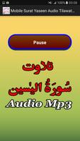 Mobile Surat Yaseen Audio Mp3 screenshot 2