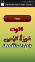 Mobile Surat Yaseen Audio Mp3 截图 2