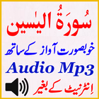 Surat Yaseen Audio Mp3 Free icône