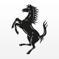 Ferrari Road AT