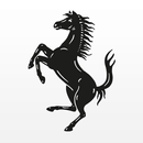 Ferrari Road FR APK