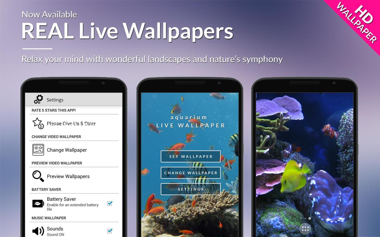 video aquarium download Hd aquarium video download free.