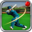 Cricket t20 2018-APK