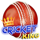 Cricket King icon