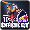 T20 Cricket 2017