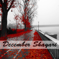 December Shayari