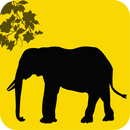 عالم الحيوان APK