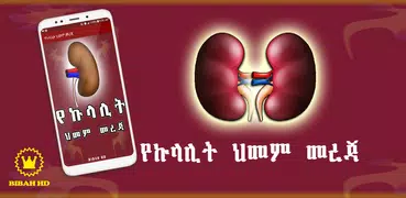 Amharic Kidney Disease