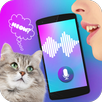 Cat Translator Voice Simulator APK