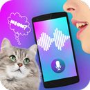 Cat Translator Voice Simulator APK