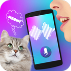 Cat Translator Voice Simulator আইকন
