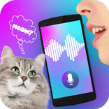 Cat Translator Voice Simulator
