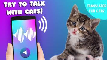 Cat Translator Voice Simulator скриншот 1