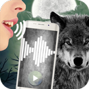 Werewolf Translator Simulator APK