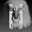 Besiktas - Xperia Theme