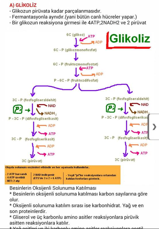 All Categories Truecfil