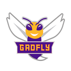 ikon Gadfly