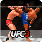 Guide UFC 3 Zeichen