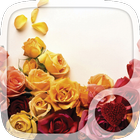 Red roses Hearts Wallpapers icon