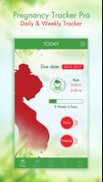 Pregnancy Cartaz