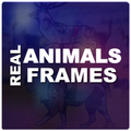 ”Real Animals Frames PIP