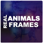 Real Animals Frames PIP 圖標