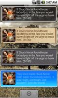 Chuck Norse Facts with Widget poster