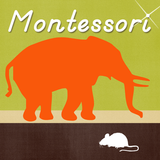 Montessori Language- Opposites