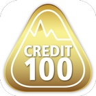 Credit 100 icône