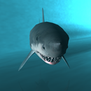 Shark Cage Dive 3D aplikacja
