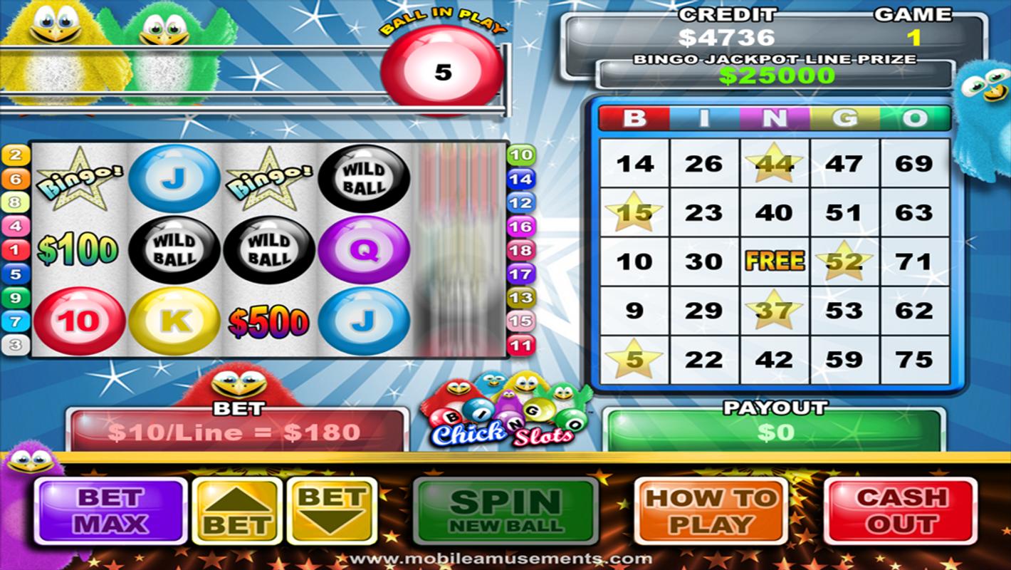 Bingo
