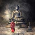 Buddha Quotes (Buddha Life and