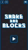 Blocks vs Snake poster