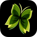 Eyebrowhub APK
