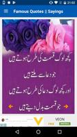 Famous Quotes And Sayings poster