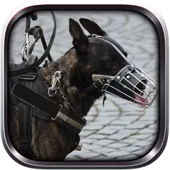 police dog criminal chase