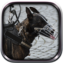 الشرطة الكلب تشيس الجنائية APK