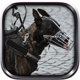 police dog criminal chase icon