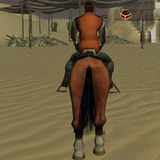 Horse Rider - Treasure Hunt icon