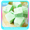 Delicious Mint Recipes Instructions