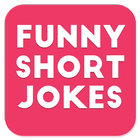 Funny Short Jokes ícone