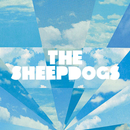 The Sheepdogs APK