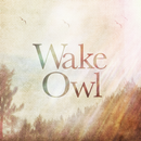 Wake Owl APK