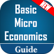 Learn Basic Microeconomics