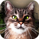 Street Cat Survival Simulator-APK