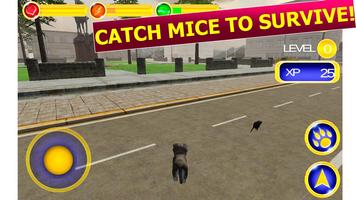 Street Cat Survival Simulator screenshot 1