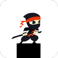 Ninja Hero Bridge